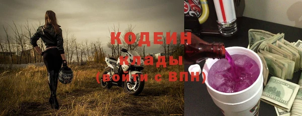 прущие грибы Володарск