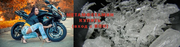 прущие грибы Володарск