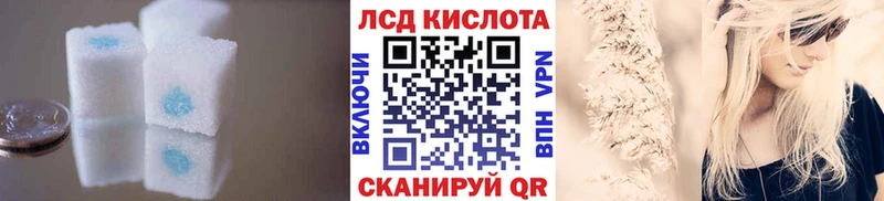 Купить  Кириллов  Лсд 25 экстази ecstasy 